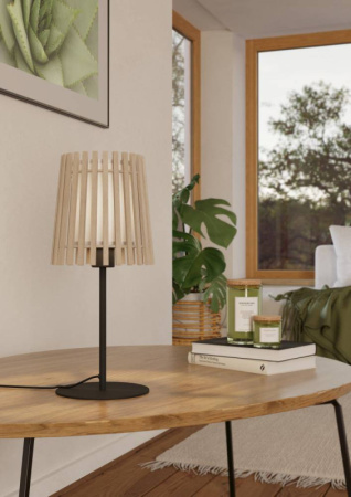 Настольные лампы — Настольная лампа EGLO 900904 купить в 