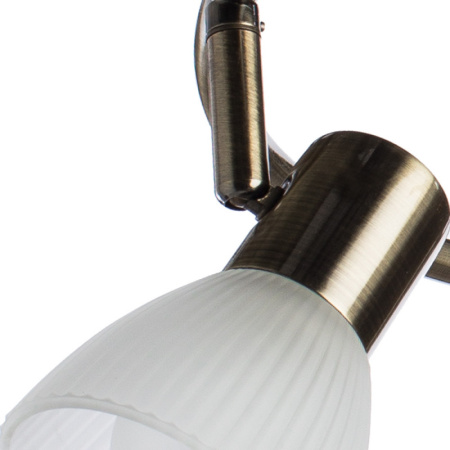Споты — Спот ARTE Lamp A5062PL-3AB купить в  Споты — Спот ARTE Lamp A5062PL-3AB купить в
