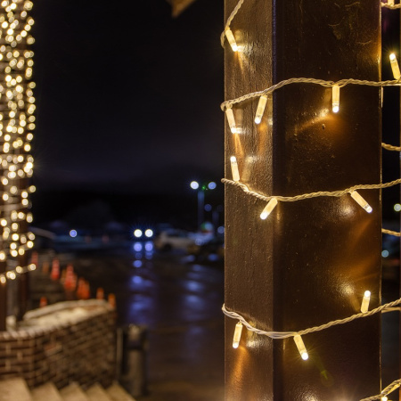 Светодиодные нити — Светодиодная нить Neon-Night 305-266 купить в 