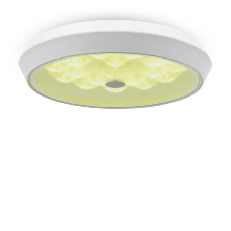 Накладные светильники — Накладной светильник Freya FR10012CL-L24W купить в 