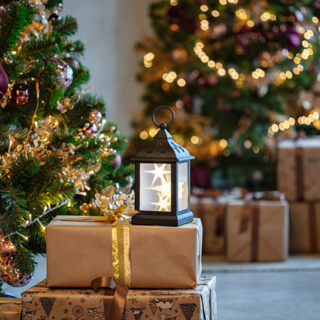 Декоративные светильники — Декоративный светильник Neon-Night 513-065 купить в 