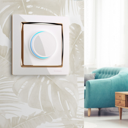 Диммеры — Диммеры Werkel W1142101 купить в 