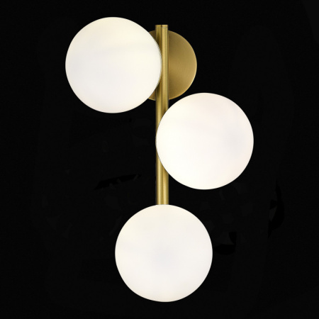 Настенные бра — Бра Evoluce SLE1191-201-03 купить в  Настенные бра — Бра Evoluce SLE1191-201-03 купить в