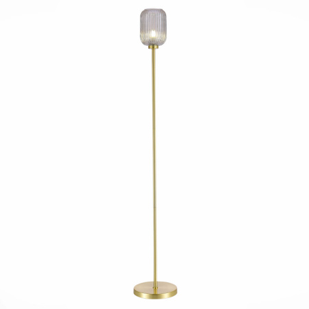 Торшеры и напольные светильники — Торшер ST-Luce SL1154.325.01 купить в 