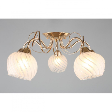 Люстры накладные — Накладная люстра Omnilux OML-24907-05 купить в 