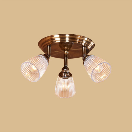 Споты — Спот Citilux CL539631 купить в 