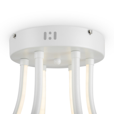 Люстры накладные — Накладная люстра Freya FR6044CL-L114W купить в  Люстры накладные — Накладная люстра Freya FR6044CL-L114W купить в