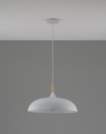 Подвесные светильники — Подвесной светильник Moderli Moderli V1330-P Hygo 1*E27*60W подвесной купить в  Подвесные светильники — Подвесной светильник Moderli Moderli V1330-P Hygo 1*E27*60W подвесной купить в