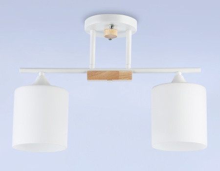 Накладные светильники — Накладной светильник Ambrella Light TR9541 купить в 