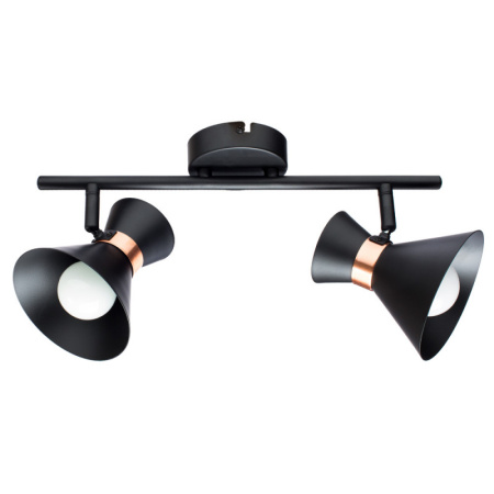 Споты — Спот ARTE Lamp A1406AP-2BK купить в  Споты — Спот ARTE Lamp A1406AP-2BK купить в