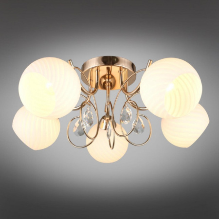 Люстры накладные — Накладная люстра Omnilux OML-25207-05 купить в 