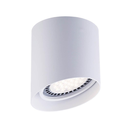 Накладные светильники — Потолочный светильник Zumaline Parc ACGU10-128 купить в 