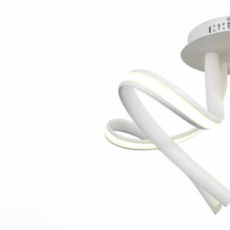 Накладные светильники — Накладной светильник ST-Luce SL954.502.05 купить в 