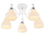 Люстры накладные — Накладная люстра Ambrella Light TR303305 купить в  Люстры накладные — Накладная люстра Ambrella Light TR303305 купить в