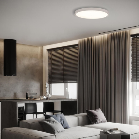 Накладные светильники — Накладной светильник LOFT IT 10227/40 White купить в 