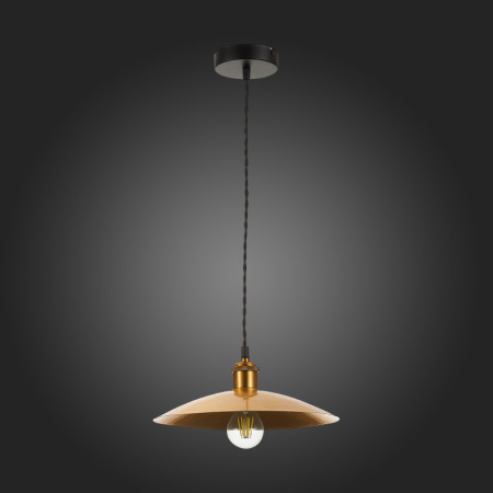 Подвесные светильники — Подвесной светильник ST-Luce SL1017.203.01 купить в 