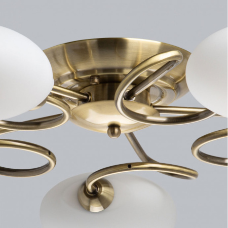 Люстры накладные — Накладная люстра MW-Light 267011805 купить в  Люстры накладные — Накладная люстра MW-Light 267011805 купить в