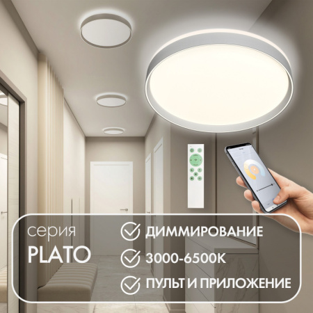 Накладные светильники — Накладной светильник Denkirs DK6511-WH купить в  Накладные светильники — Накладной светильник Denkirs DK6511-WH купить в