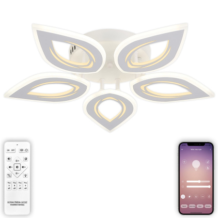 Накладные светильники — Накладной светильник Natali Kovaltseva LED LAMPS 81123/5C купить в  Накладные светильники — Накладной светильник Natali Kovaltseva LED LAMPS 81123/5C купить в
