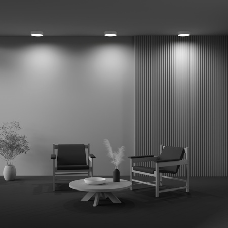 Накладные светильники — Накладной светильник Maytoni Technical C032CL-24W3K-RD-MG купить в 