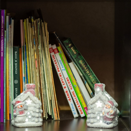 Декоративные светильники — Декоративный светильник Neon-Night 505-022 купить в 