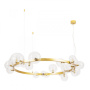 Люстры подвесные — Подвесная люстра ARTE Lamp A7790SP-24GO купить в  Люстры подвесные — Подвесная люстра ARTE Lamp A7790SP-24GO купить в