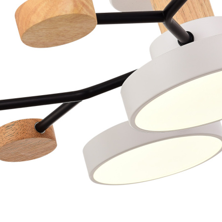 Люстры на штанге — Люстра на штанге Evoluce SLE6006-502-05 купить в 