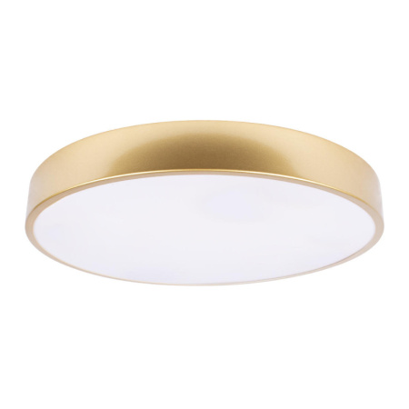 Накладные светильники — Накладной светильник LOFT IT 10228/A купить в 