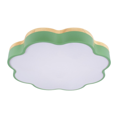 Накладные светильники — Накладной светильник LOFT IT 10225/36 Green купить в 