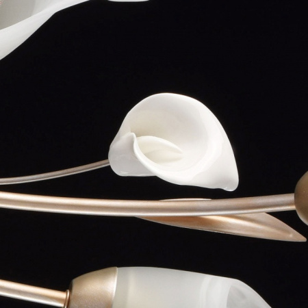 Люстры накладные — Накладная люстра MW-Light 242016306 купить в  Люстры накладные — Накладная люстра MW-Light 242016306 купить в