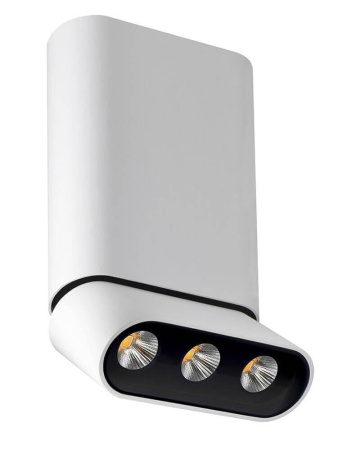 Споты — Светодиодный спот Lumien Hall Фергус 8005/3CM-WT-BK купить в 