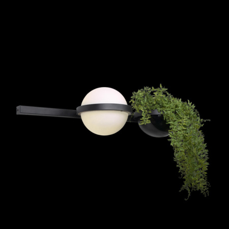 Настенные бра — Бра LOFT IT 10121W/A купить в 