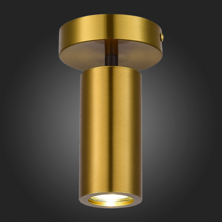 Накладные точечные светильники — Накладной светильник ST-Luce SL1215.402.01 купить в 