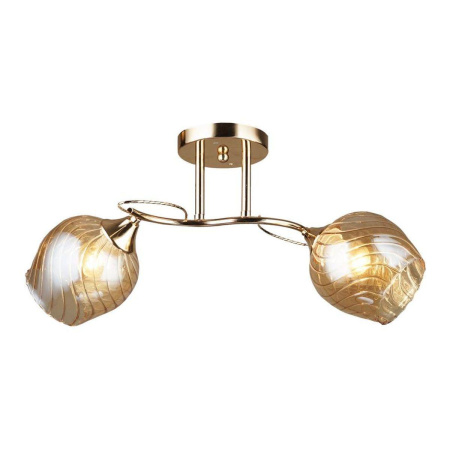 Потолочные люстры — Потолочная люстра Milosh Tendence 0669CL-2GD купить в  Потолочные люстры — Потолочная люстра Milosh Tendence 0669CL-2GD купить в