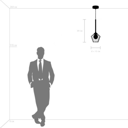 Подвесные светильники — Подвесной светильник Lightstar 801201 купить в 