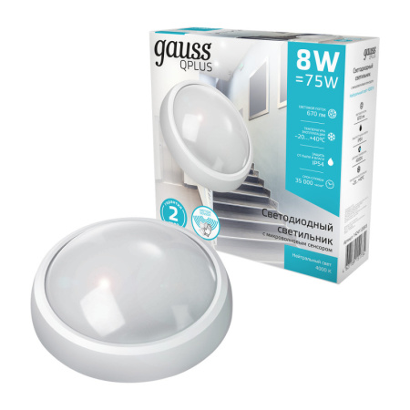 Пылевлагозащищенные светильники — Пылевлагозащищенный светильник Gauss 142411208-S купить в 