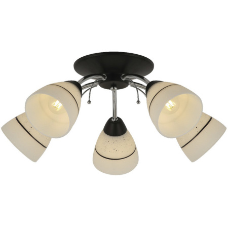 Люстры накладные — Накладная люстра TOPLIGHT TL1255D-05BC купить в  Люстры накладные — Накладная люстра TOPLIGHT TL1255D-05BC купить в