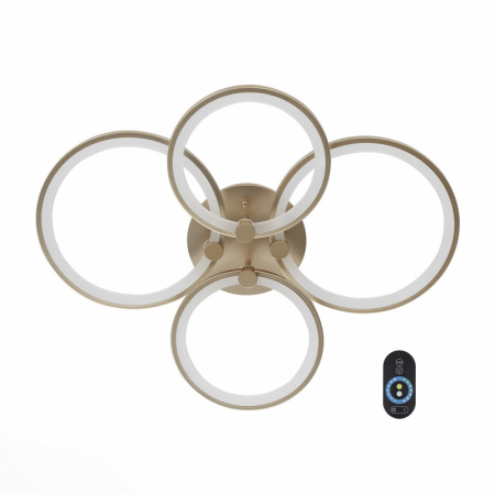 Накладные светильники — Накладной светильник ST-Luce SL867.202.04 купить в 