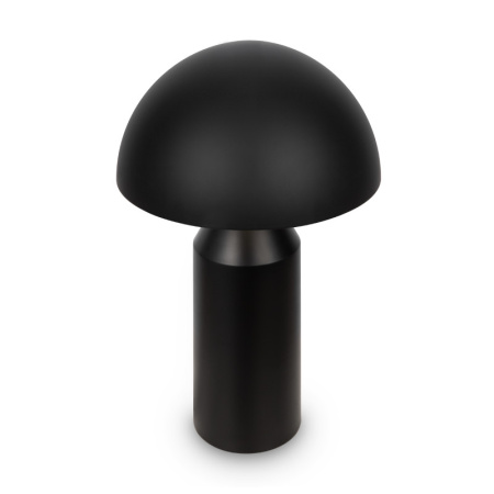 Настольные лампы — Настольная лампа Freya FR5218TL-02B1 купить в 