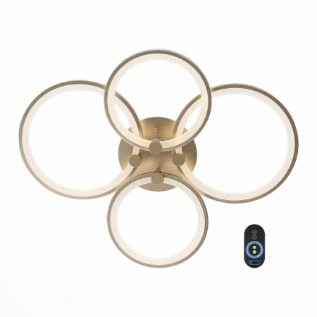 Накладные светильники — Накладной светильник ST-Luce SL867.202.04 купить в 