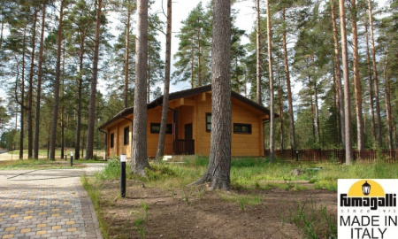 Средние уличные фонари — Садово-парковый светильник Fumagalli DR2.575.000.AYF1R купить в 