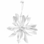 Люстры подвесные — Подвесная люстра Lightstar 754266 купить в  Люстры подвесные — Подвесная люстра Lightstar 754266 купить в