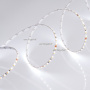 Светодиодные ленты — Лента Arlight 024506(2) купить в  Светодиодные ленты — Лента Arlight 024506(2) купить в