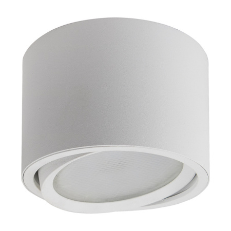 Накладные точечные светильники — Накладной светильник Feron 41994 купить в 