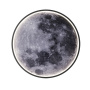 Настенные бра — Бра Escada 10226/SG LED Moon купить в  Настенные бра — Бра Escada 10226/SG LED Moon купить в
