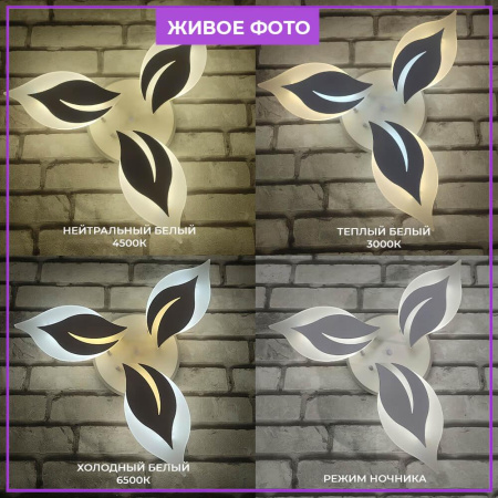 Потолочные люстры — Потолочная люстра Seven Fires Omenya 75391.01.09.03 купить в 