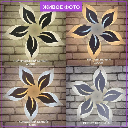 Потолочные люстры — Потолочная люстра Seven Fires Omenya 75391.01.09.05 купить в 