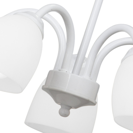 Люстры подвесные — Подвесная люстра Vitaluce V3336/5 купить в  Люстры подвесные — Подвесная люстра Vitaluce V3336/5 купить в