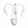 Настенные бра — Бра Lightstar 751636 купить в  Настенные бра — Бра Lightstar 751636 купить в