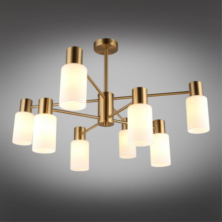 Люстры на штанге — Люстра на штанге Omnilux OML-69107-08 купить в 